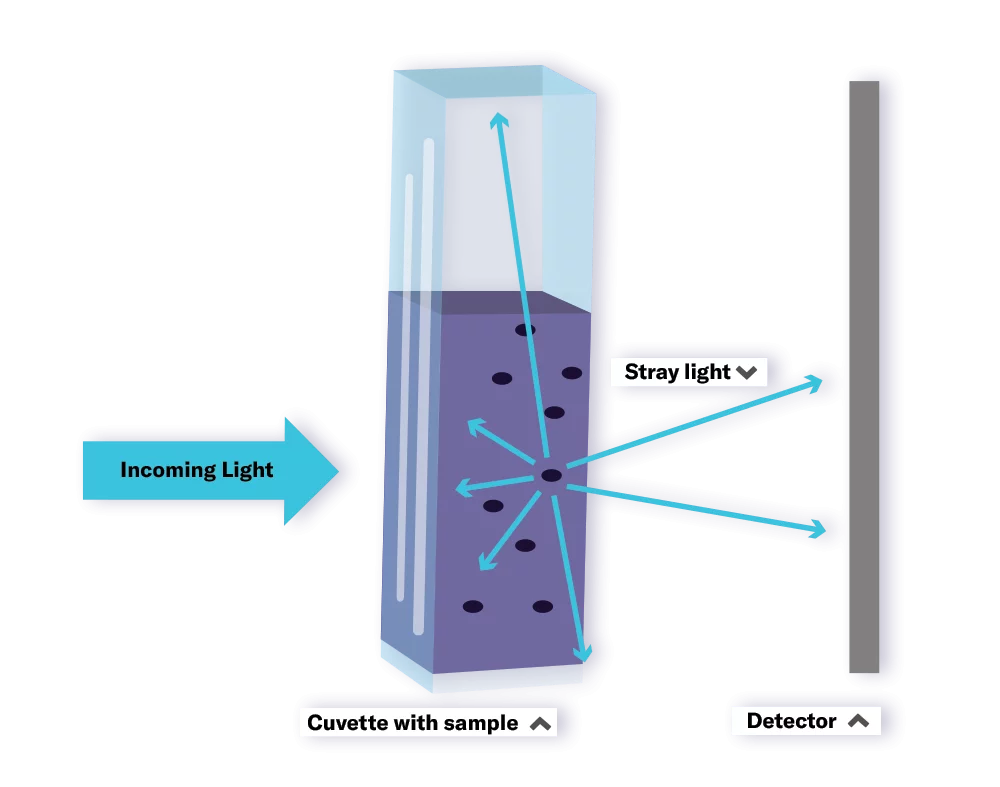 Biomass Monitoring in Microbial Fermentation Scientific Bioprocessing